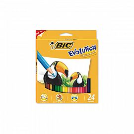 LAPIZ COLOR X24 LARGO BIC 
