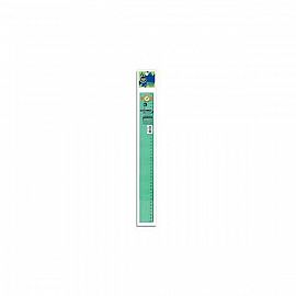 REGLA LINEA VERDE 40 CM PIZZINI 