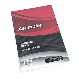 REPUESTO A4 X48 ASAMBLEA 